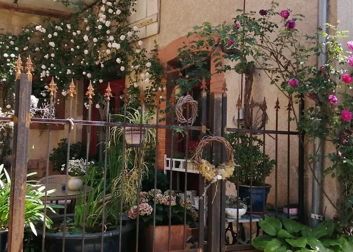 公寓 Winzerhaus 1900 *