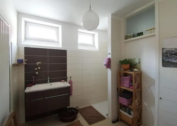 Winzerhaus 1900 公寓